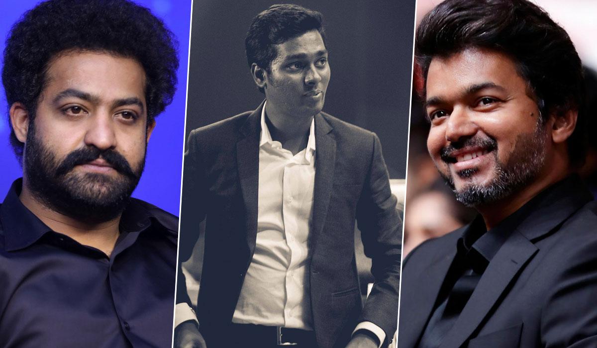 NTR - Vijay - Atlee: What's Cooking?