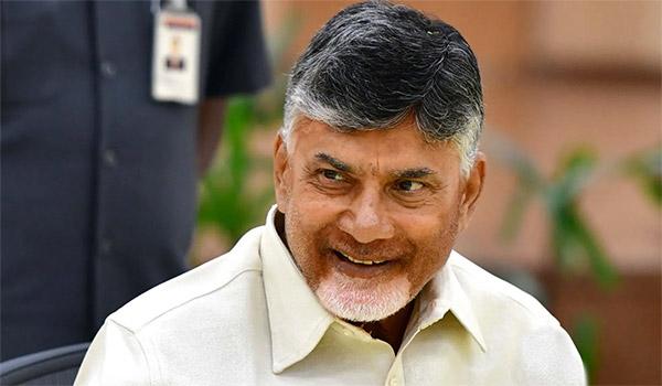 tdp activists decides to participate in mptc zptc elections