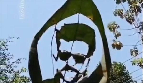 Pic Talk: Amazing Natural Art of Ram Charan