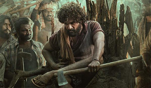 Can Pushpa Team Take This Big Risk?