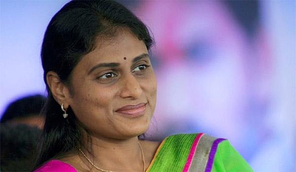 sharmila has high hopes on brother ys jagan