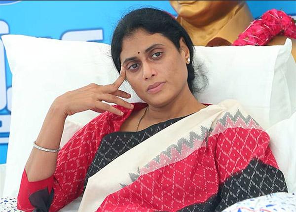 ys sharmila hopes are collapsed