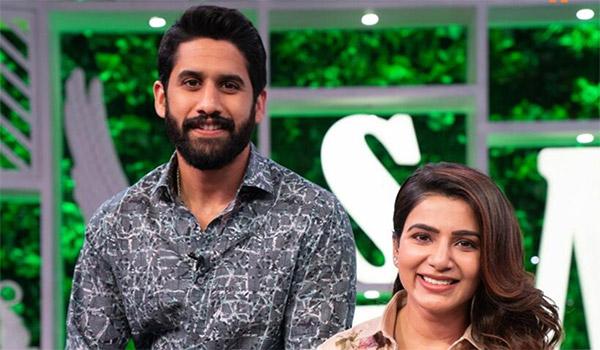 Akkineni Couple Following Mega Couple