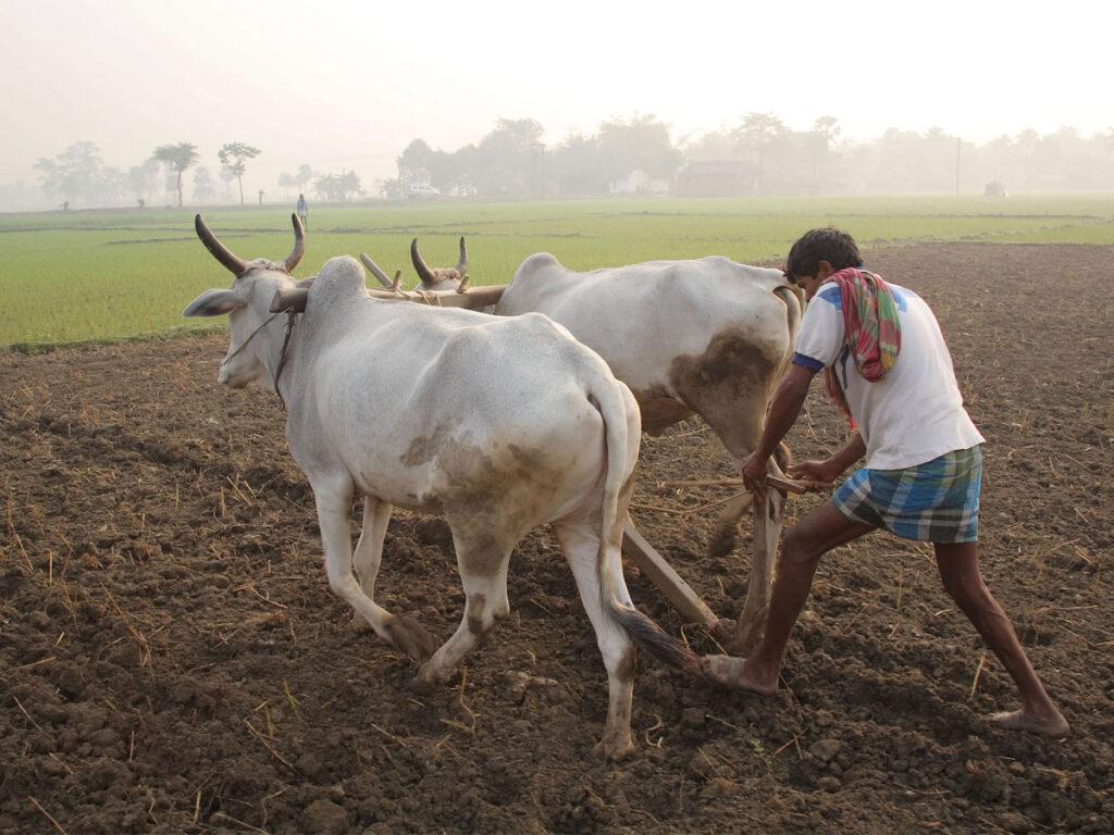 Andhra Pradesh -Farmers
