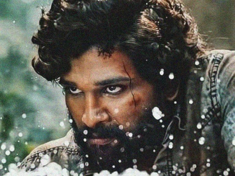 Allu Arjun -pushpa-pan india