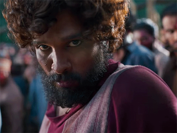 Pushpa Single Review – DSP Recycles But Delivers