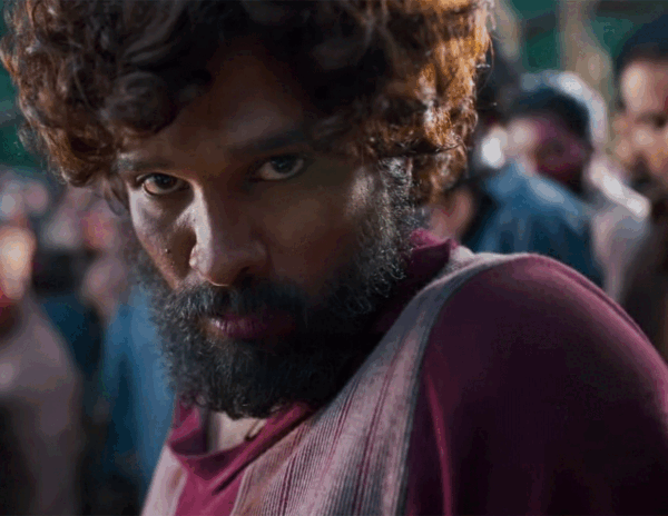 Pushpa Single Review – DSP Recycles But Delivers