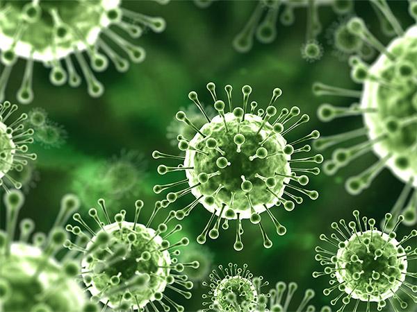 COVID Is Still Here, Nipah Virus Arrives!