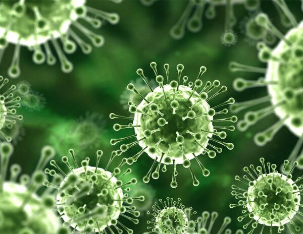 COVID Is Still Here, Nipah Virus Arrives!