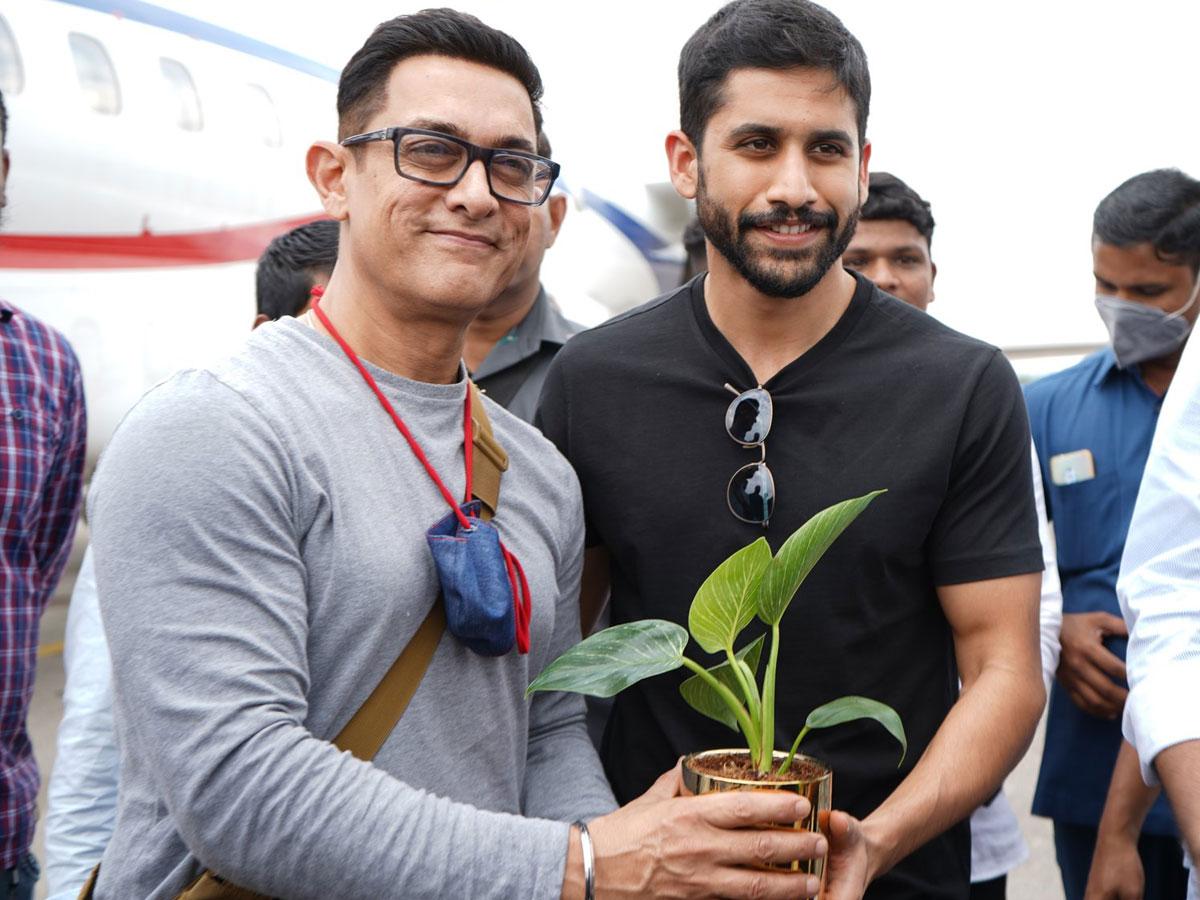 Love Story’s Plan To Withstand Mighty Opposition!