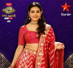Bigg Boss Telugu 5