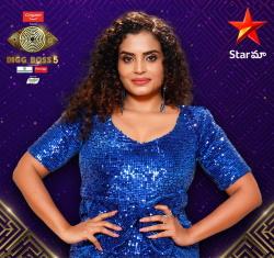 Bigg Boss Telugu 5