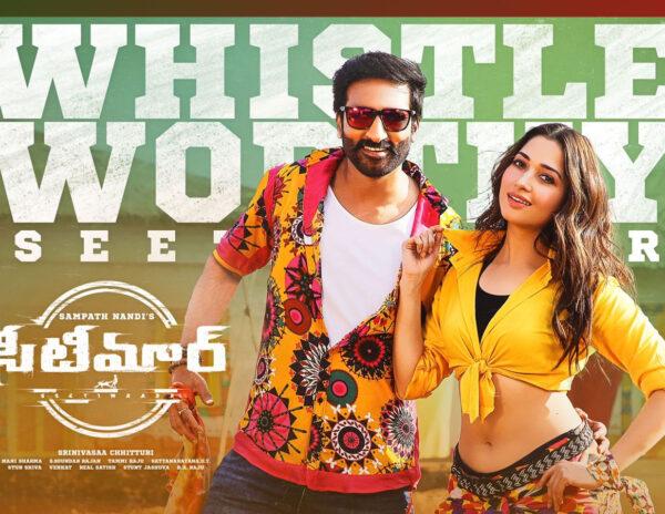 Seetimaarr box office collections
