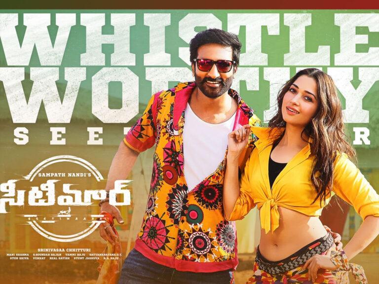 Seetimaarr box office collections