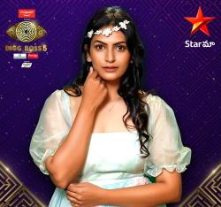 Bigg Boss Telugu 5