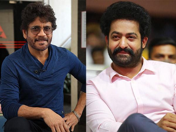 competition between Nagarjuna and NTR Should there be logic