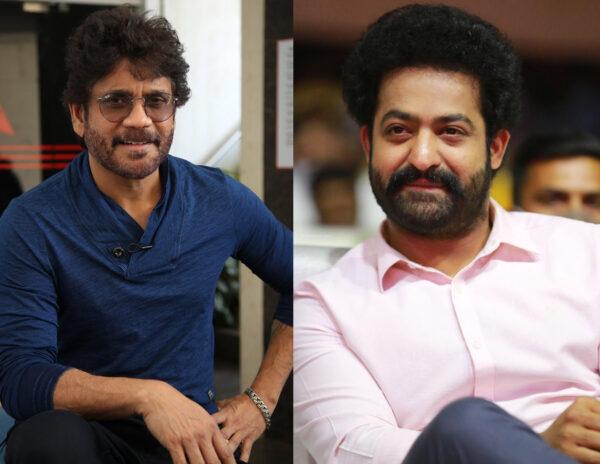 competition between Nagarjuna and NTR Should there be logic