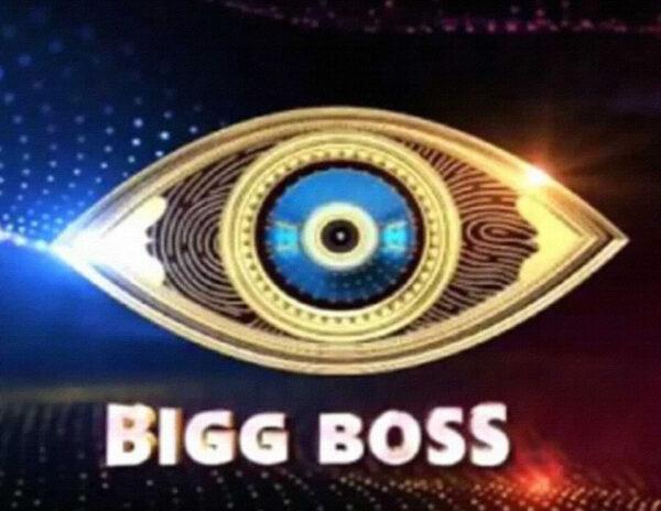 Bigg Boss Telugu: Progress Report of First Half
