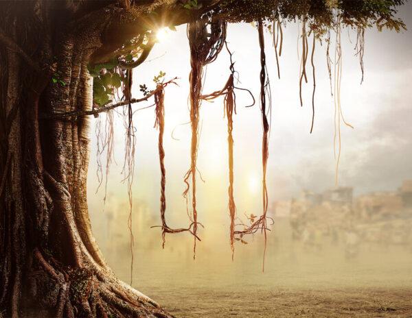 Delhi Scary Crime Show On Netflix: Must Watch For OTT