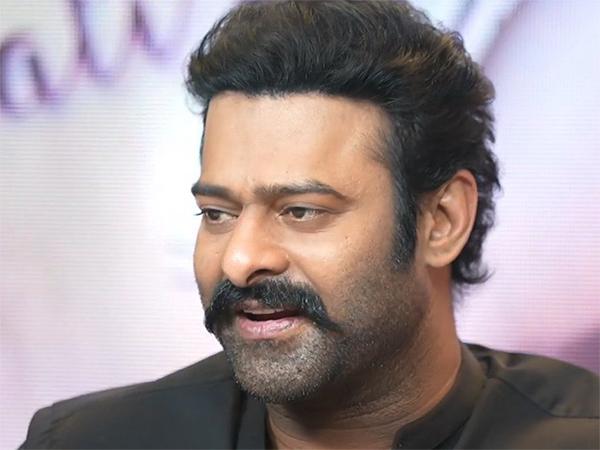 I Wonder How Audience Saw Me: Prabhas