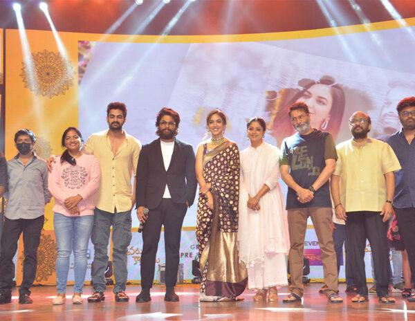 I hope Varudu Kaavalenu brings  audiences to theatres icon star Allu Arjun