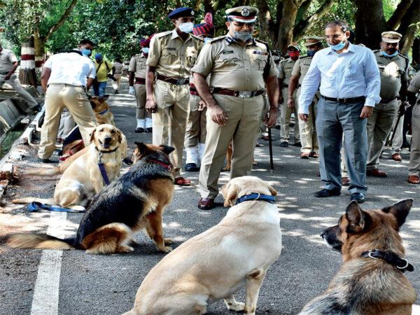 Viral-Video-Dog-Squad-In-Telangana-Village-For-A-Shocking-Reason