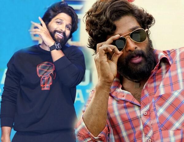 Pushpa Hindi Version Controversy