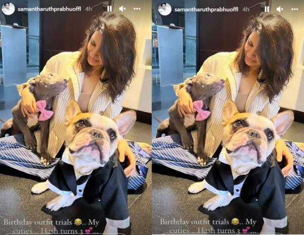 Samantha Starts Birthday Shopping