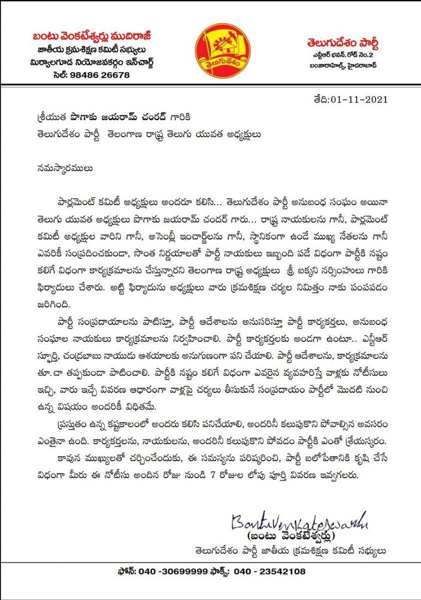 TDP Chandrababu Naidu