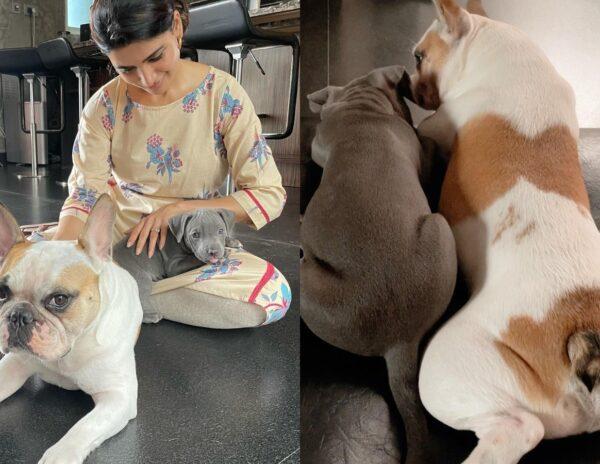 Samantha Missing Her Child