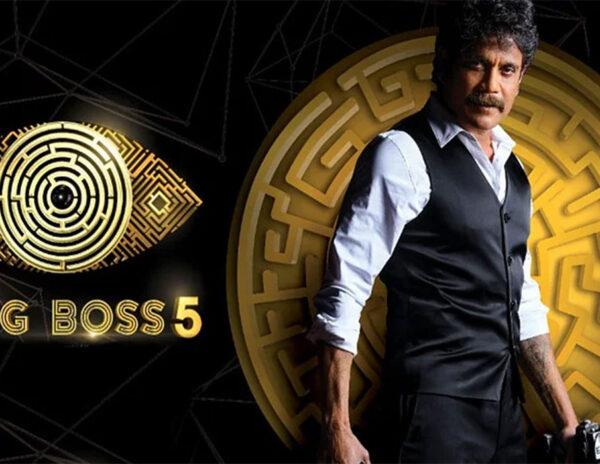 10 Star Attractions In Bigg Boss Telugu Finale