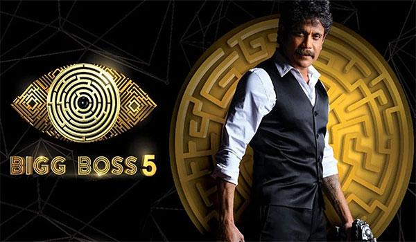 10 Star Attractions In Bigg Boss Telugu Finale