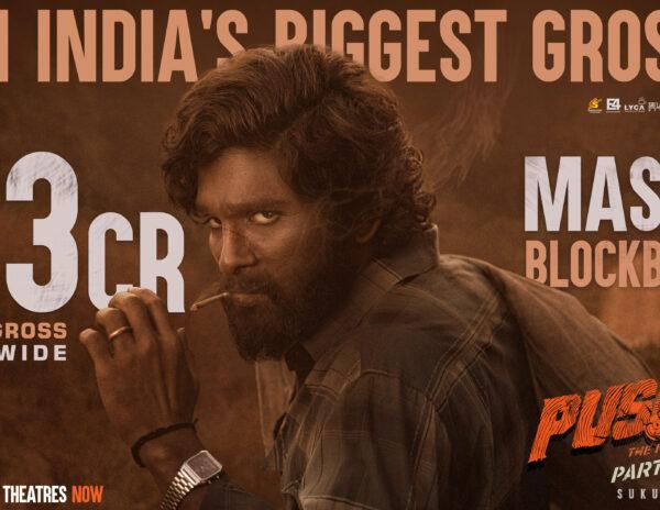 Pushpa Hyped Numbers Reason For Theaters Seizing In AP?