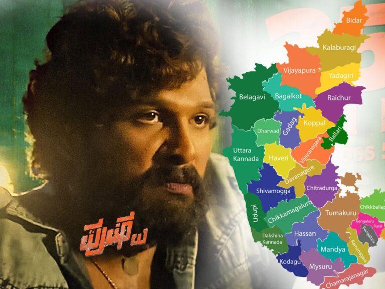 Pushpa Movie Karnataka