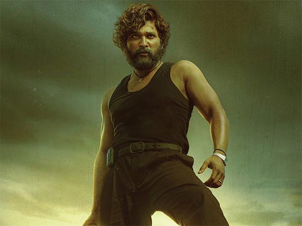 Pushpa Storms Box Office: Throws Unexpected Surprises!