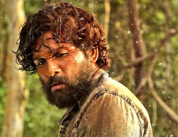 Pushpa To Fall Short Of Hit Status