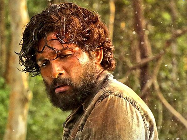 Pushpa To Fall Short Of Hit Status