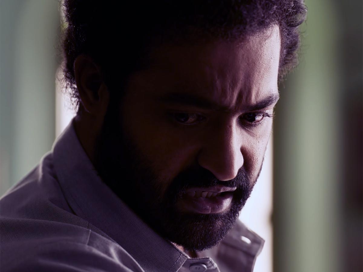North Indians' Verdict On Jr NTR