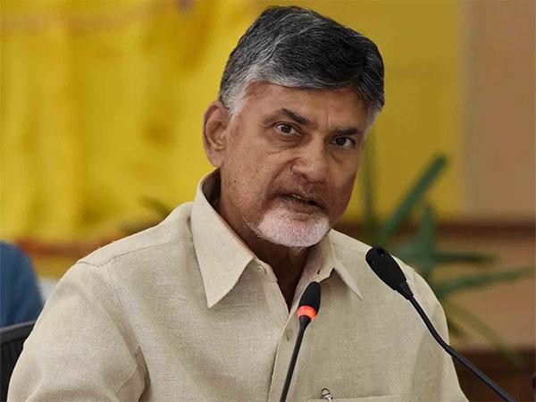 బాబూ... పట్టాల్సింది తిమింగళాలను, చిన్న చేపలను కాదు!
