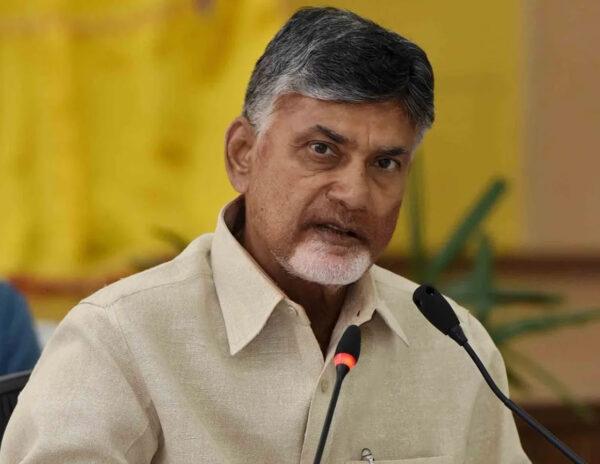 బాబూ... పట్టాల్సింది తిమింగళాలను, చిన్న చేపలను కాదు!