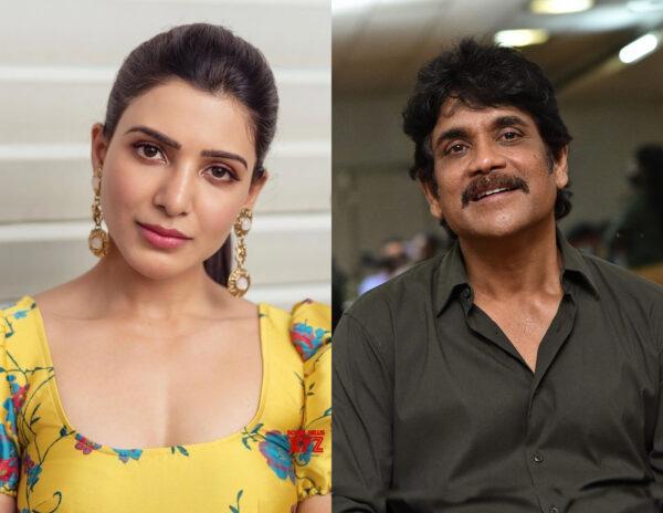 After Divorce, Samantha & Nagarjuna Are On The Same Page!