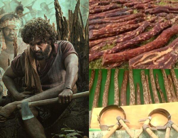 Pushpa Style Smuggling Scene In Nellore