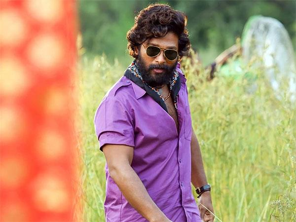 Pushpa's Hindi Release In The US - Will IT Work?