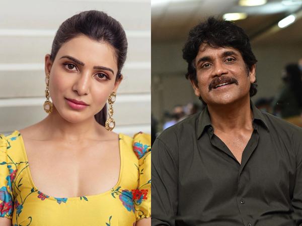 After Divorce, Samantha & Nagarjuna Are On The Same Page!