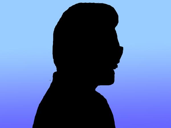 Telugu Cinema Hero