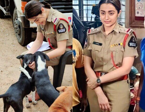 Trisha's comeback to Tollywood involves big risks