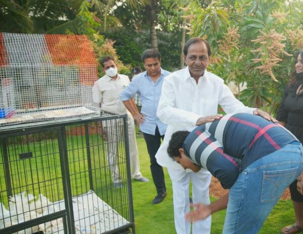 Pic Talk: No Better Thathayya Than KCR