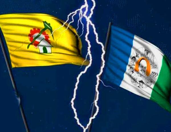 TDP Flag YSRCP Flags fans