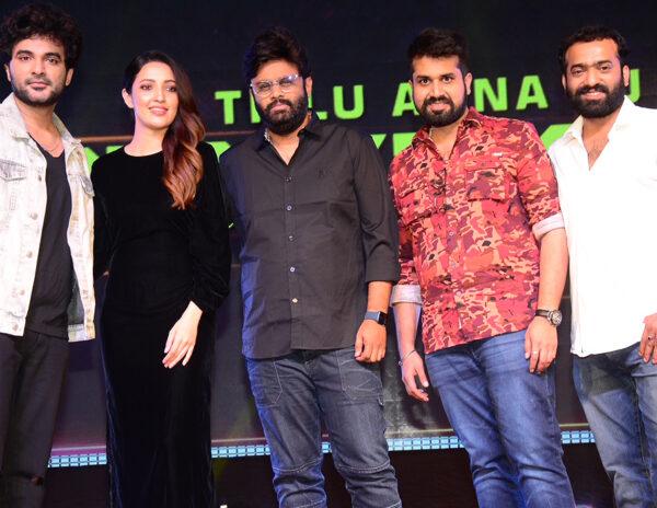  DJ Tillu team celebrates success at Visakhapatnam