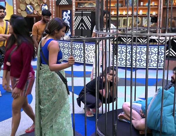 BB Non Stop: Ep 12: Natraj Feels Betrayed by Own Team